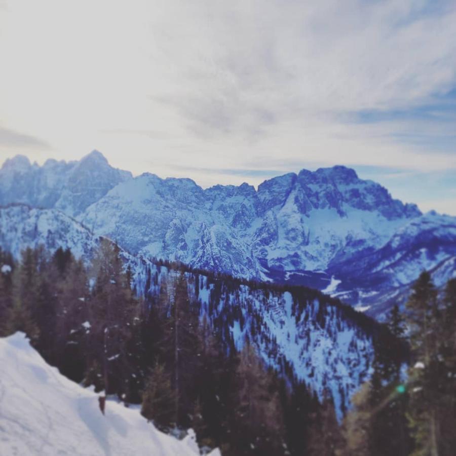 Al Sentiero Di Charly Bed and Breakfast Tarvisio Buitenkant foto