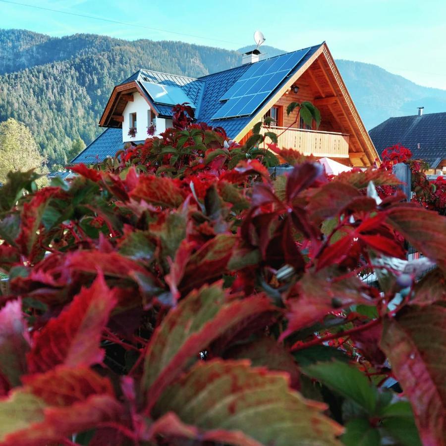 Al Sentiero Di Charly Bed and Breakfast Tarvisio Buitenkant foto