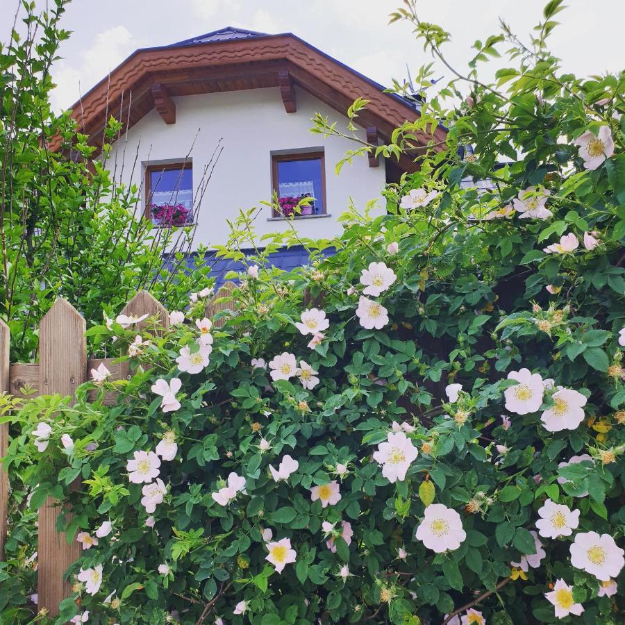 Al Sentiero Di Charly Bed and Breakfast Tarvisio Buitenkant foto
