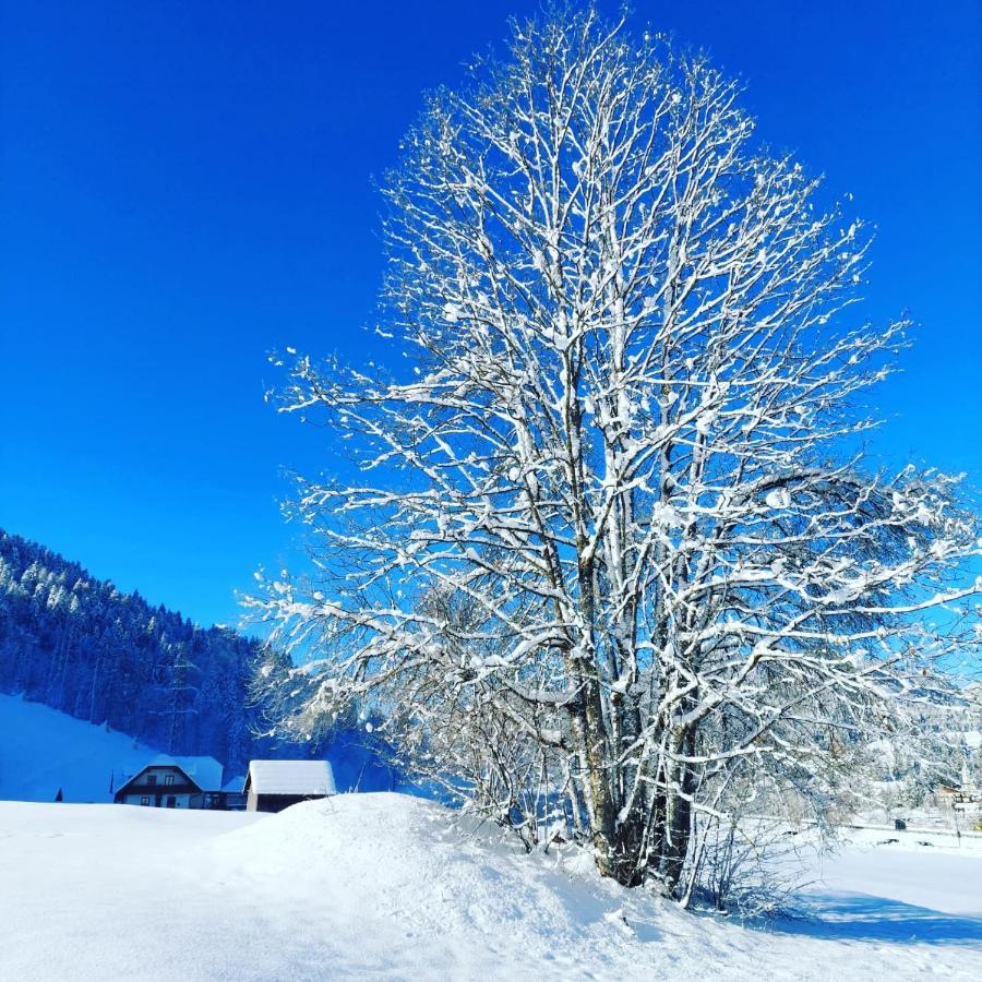 Al Sentiero Di Charly Bed and Breakfast Tarvisio Buitenkant foto