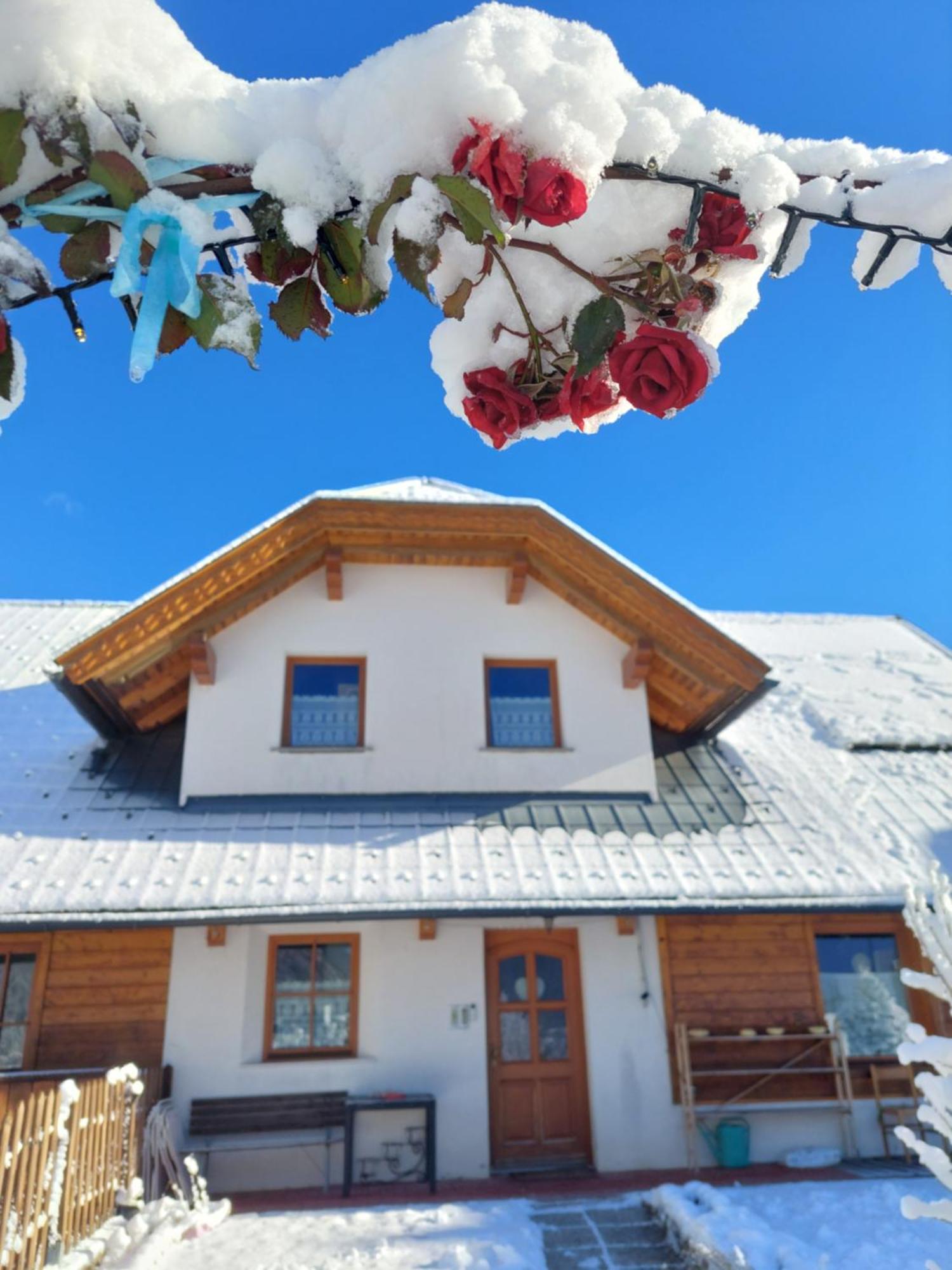 Al Sentiero Di Charly Bed and Breakfast Tarvisio Buitenkant foto